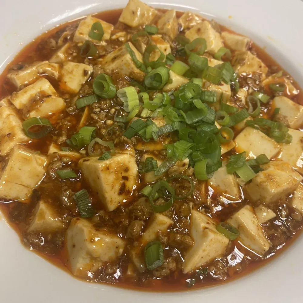 Spicy Mapo tofu topped with minced meat and green onions at Dumpling King Asian Cuisine in Sacramento